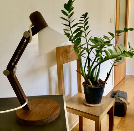 Handgefertigte Lampe aus Nussbaum und Glasschirm und Eichenstuhl mit P